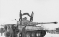 Bild 2 von Schwere Panzerabt. Nummbers Tiger Abt. II